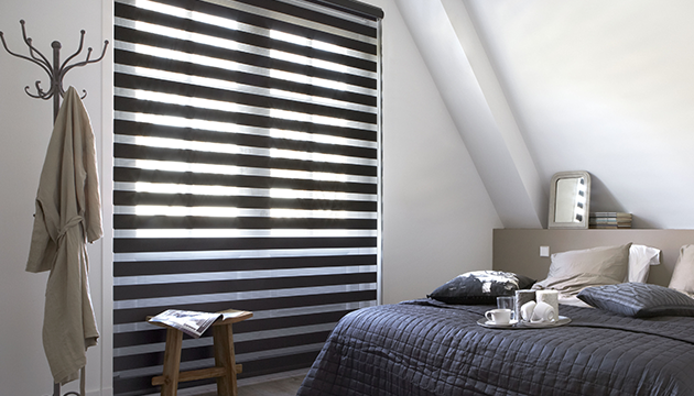 Рулонные шторы «День-Ночь» (Зебра)